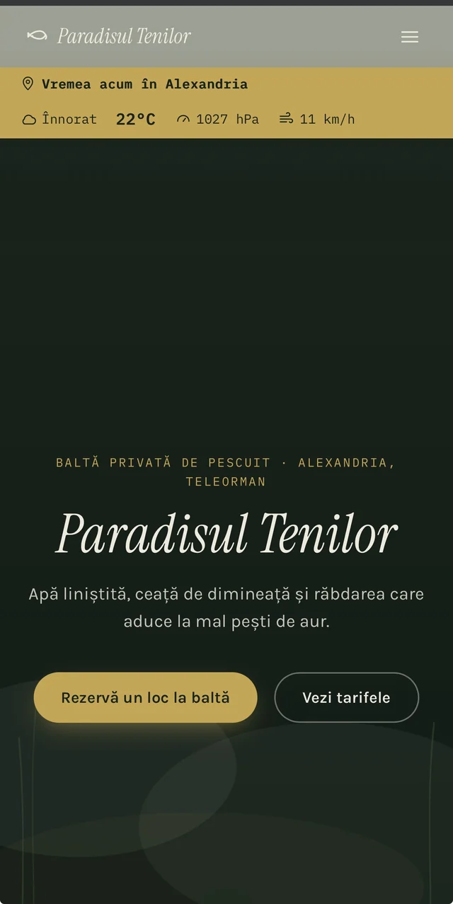 Site-ul Paradisul Tenilor, văzut pe telefon
